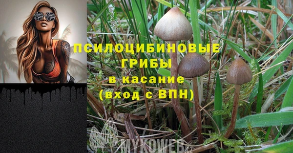 гидропоника Нефтегорск