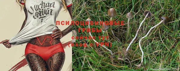 таблы Новозыбков