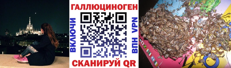 закладки  Волгоград  omg ссылки  Галлюциногенные грибы GOLDEN TEACHER 
